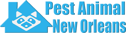 New Orleans Wildlife and Animal Removal